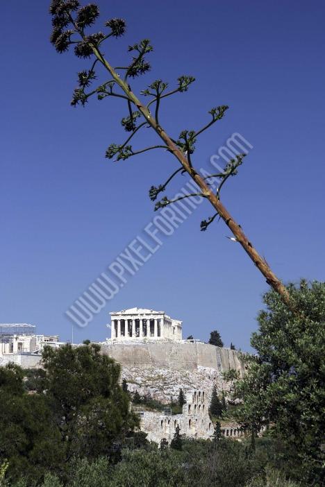 ATHENS,CITY,GREECE,TOURISM,TRAVEL